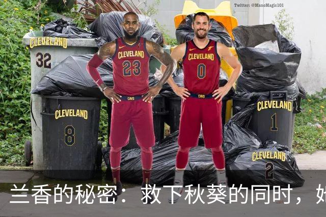 兰香的秘密：救下秋葵的同时，她却成了命运的牺牲品